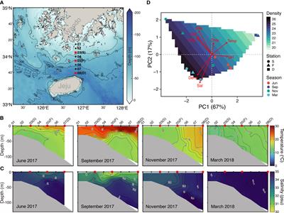 Diversity and assembly of planktonic protist communities in the Jeju Strait, Korea